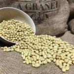 14.Alubia amarilla Canaria