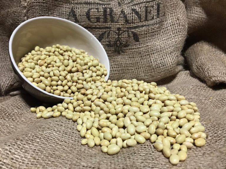 Alubia Amarilla Canaria
