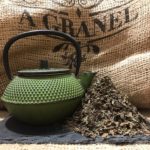 186.te de Java Ortosifon