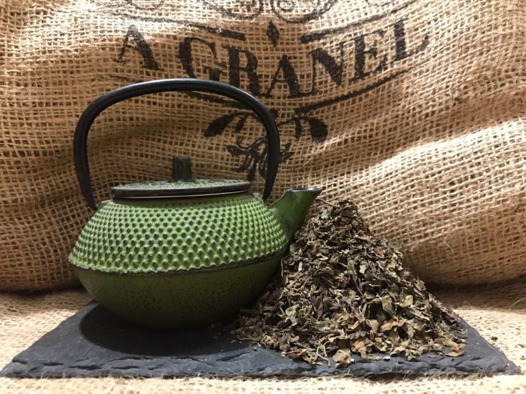 Té de Java (Ortosifón)