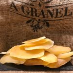 194.mango deshidratado