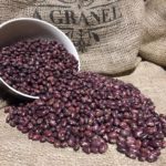 20.alubia tolosana palmena