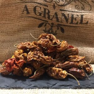 Chile Fantasma (Naga Jolokia) - Guindilla Fantasma