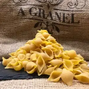 Conchas Multicereales Ecológicas