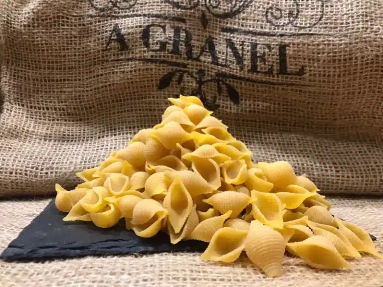 Conchas Multicereales Ecológicas