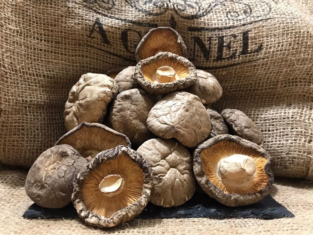 Setas Shiitake