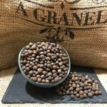 245.pimienta jamaica