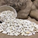 25.alubia fabada asturiana