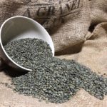 3.Lenteja Verdina de Puy