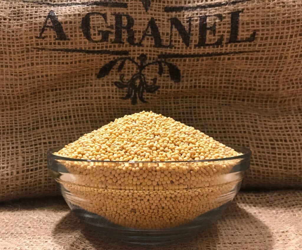 Mostaza Amarilla Grano