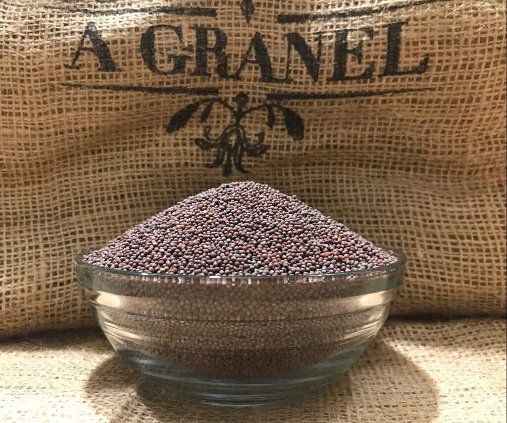 Mostaza Marrón Grano
