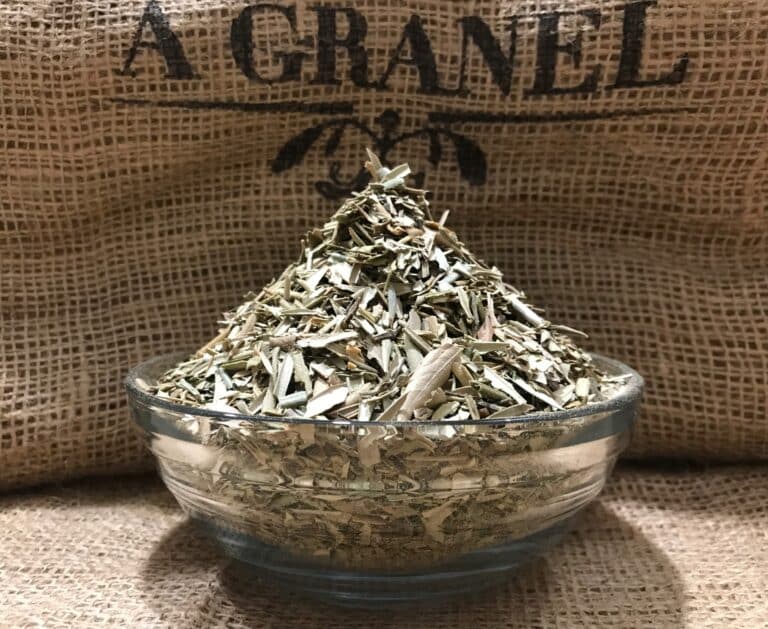Hoja de Olivo Cortada