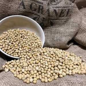 Soja Amarilla (Soja Blanca)