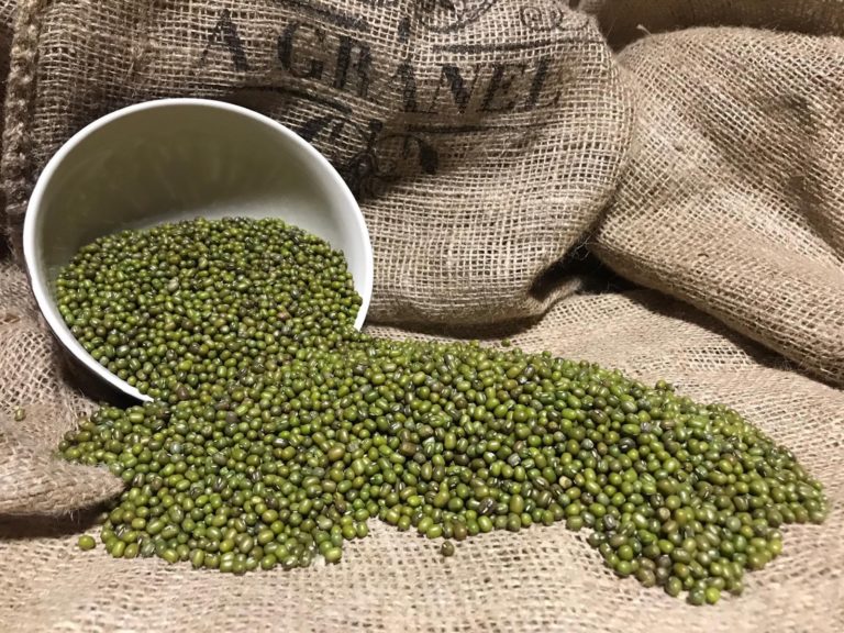 Soja Verde