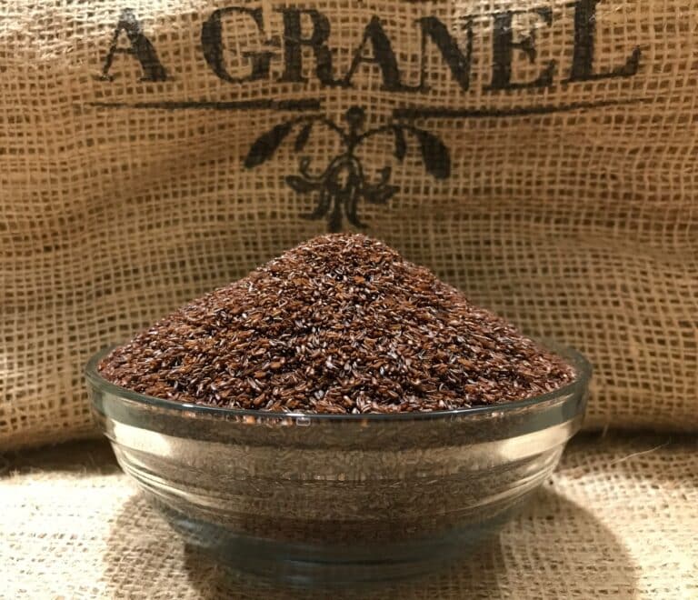 Semillas de Zaragatona