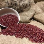 39.soja roja ecologica