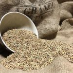 4.Lenteja Eston Lanzarote