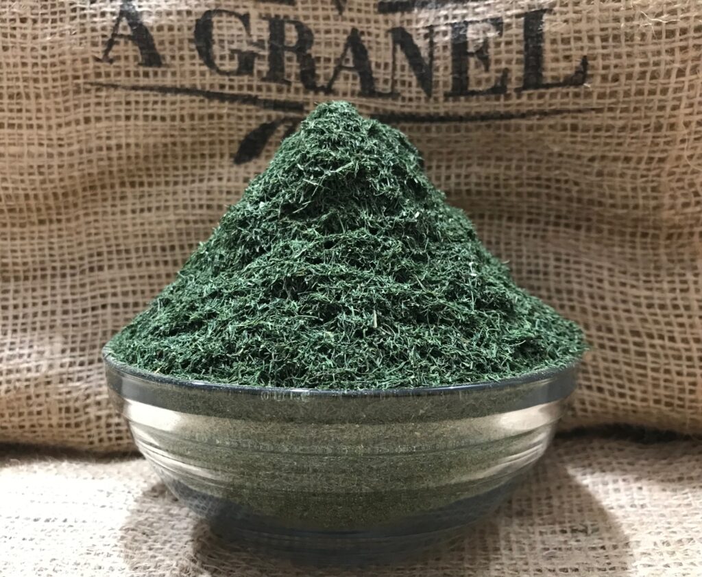 Hoja de Eneldo