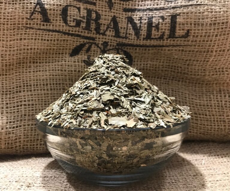 Ginkgo Biloba