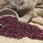 45.alubia pinta alavesa