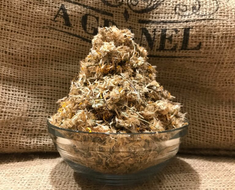 Flor de Árnica