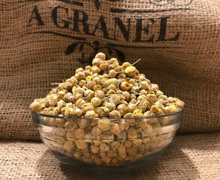 Manzanilla Amarga