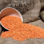 8.Lenteja pelada roja